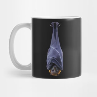 Flying fox bat illustration. Australian fruit bat art work. Realistic bat art. Unique gift Mug